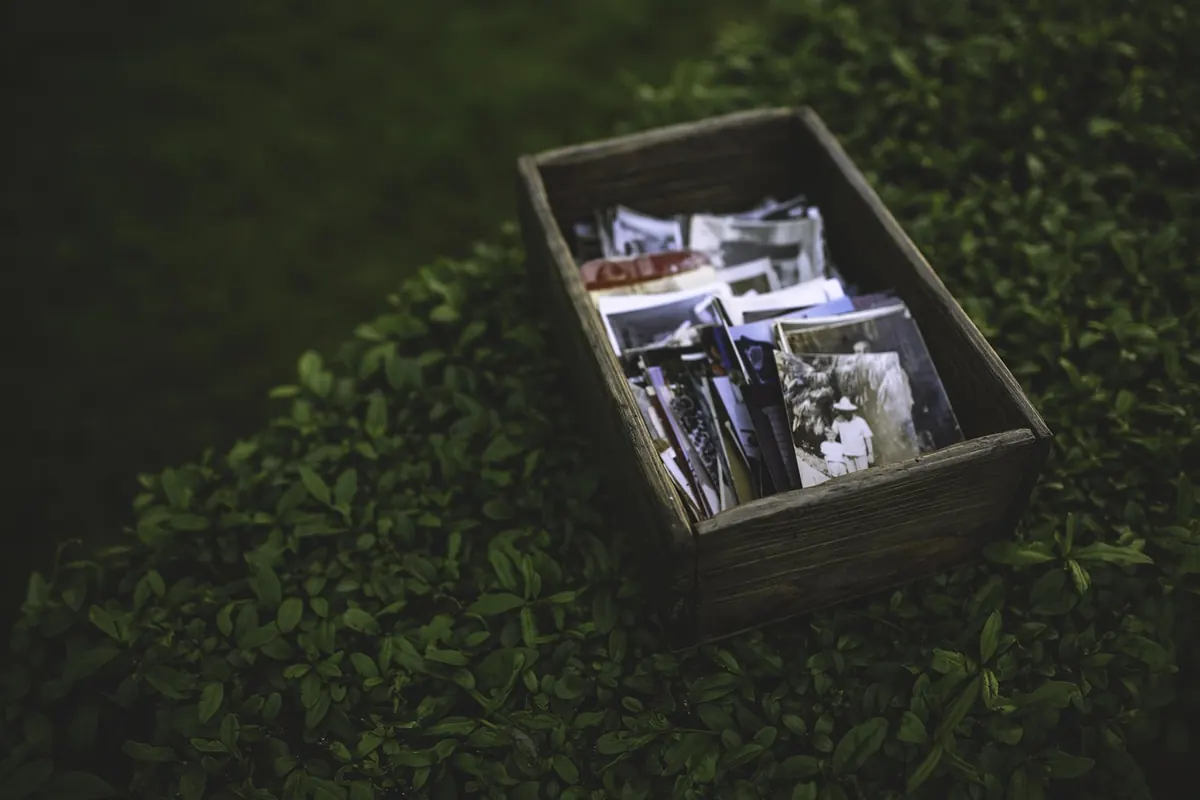 Beginner's Guide to Decluttering Sentimental Items Without Regret